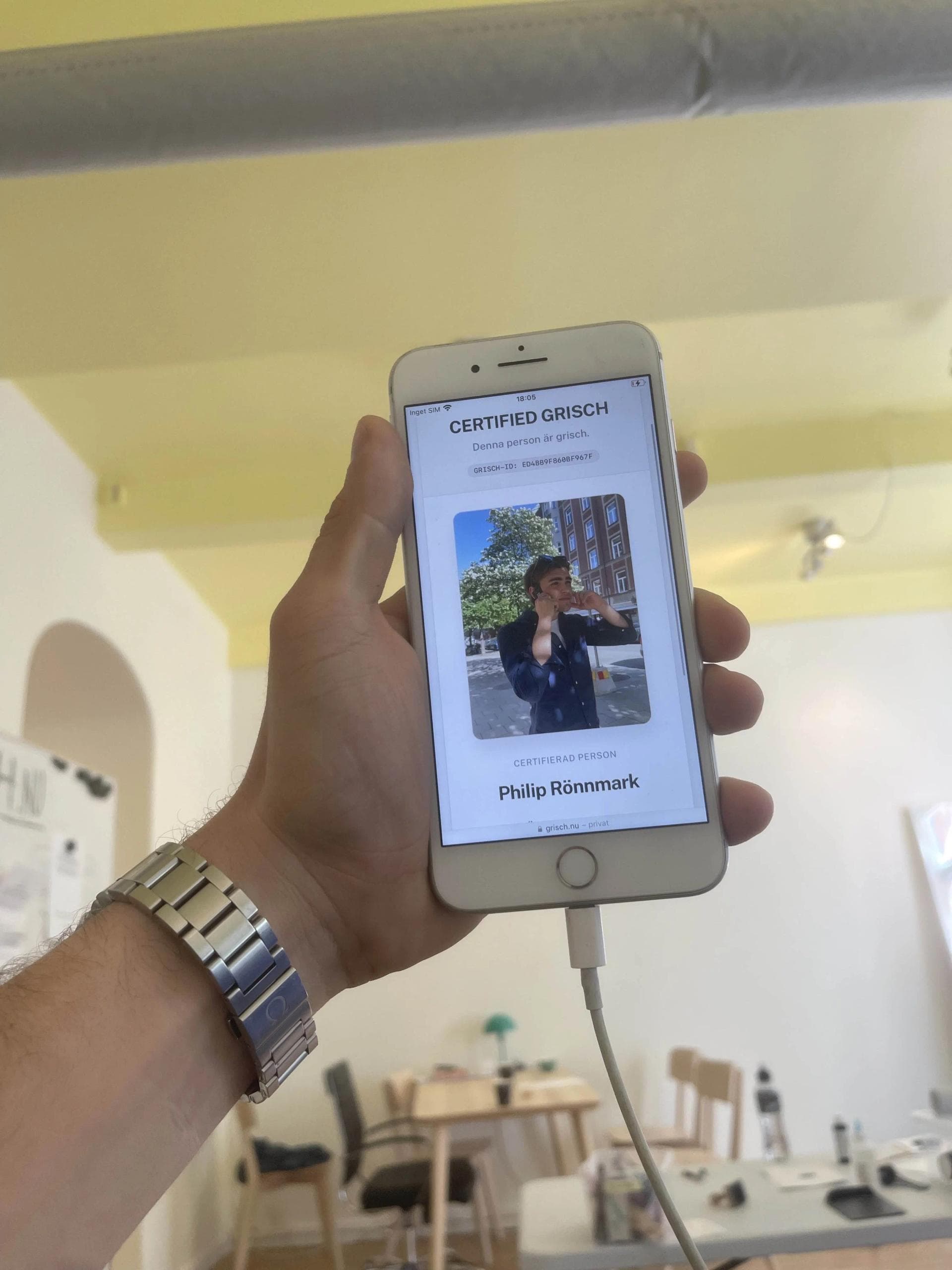 Vad betyder det att vara Grisch? En djupdykning i fenomenet